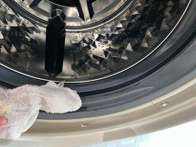 洗濯機のゴムパッキンの掃除